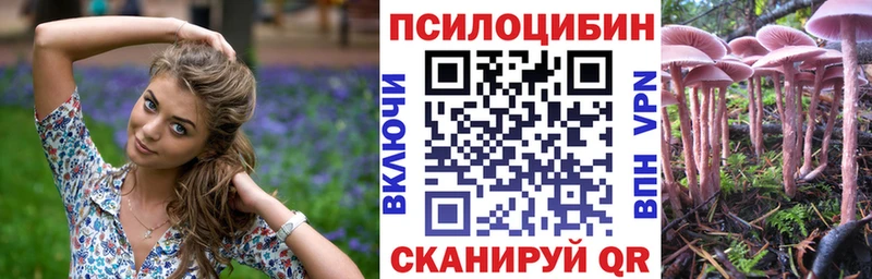 Галлюциногенные грибы GOLDEN TEACHER  Купить закладки  Дубовка 